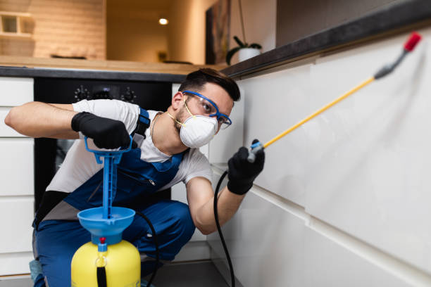 Best Affordable Pest Control Services  in Midlothian, VA