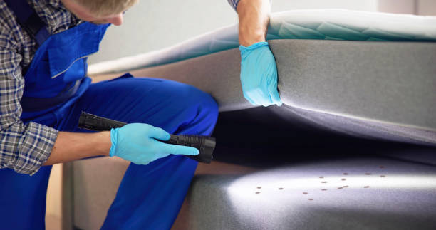Best Pest Control for Homes  in Midlothian, VA