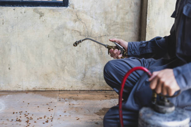 Best Affordable Pest Control Services  in Midlothian, VA